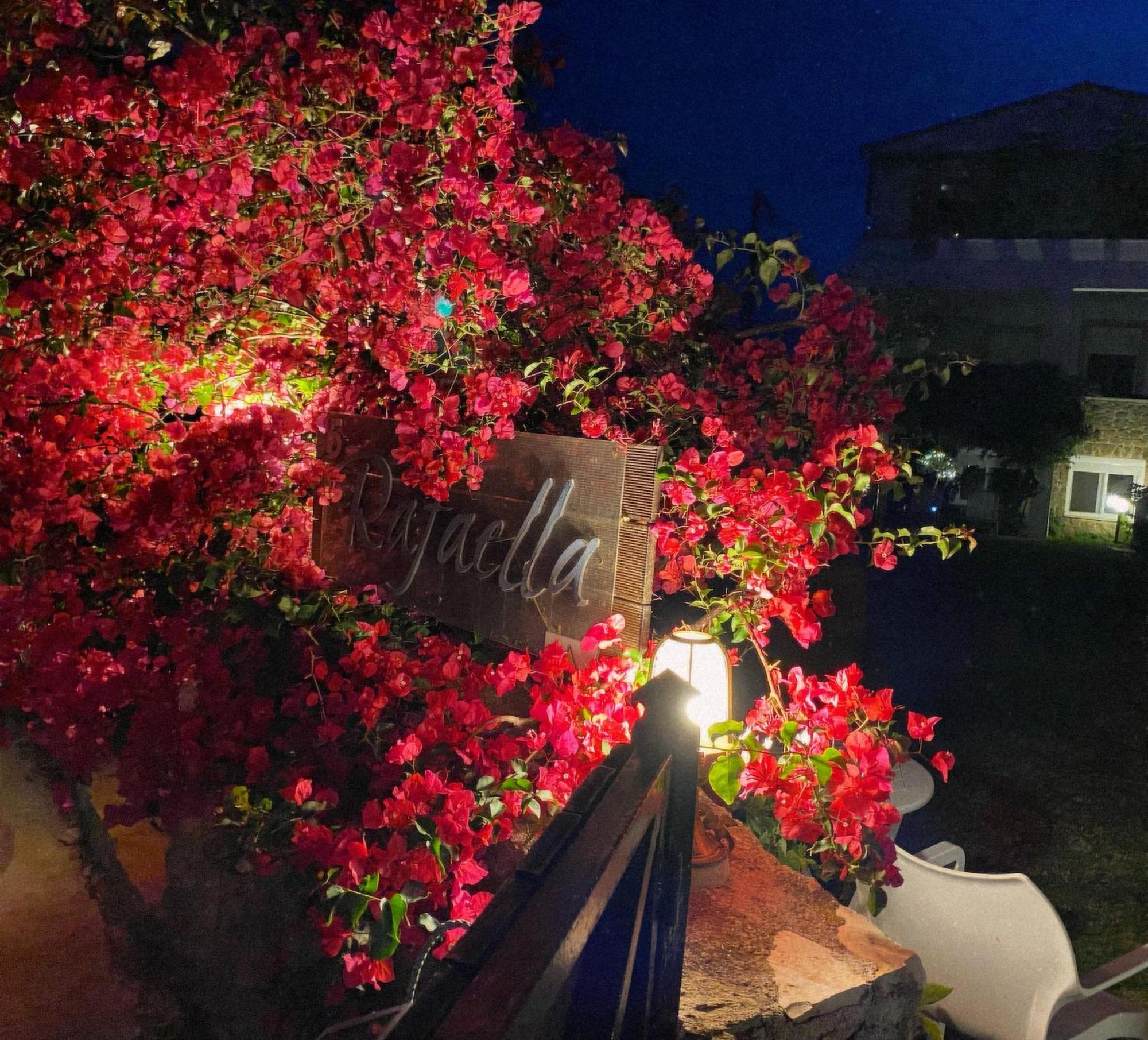 Irene'S Maisonette At Rafaella Resort Kokkónion Екстериор снимка